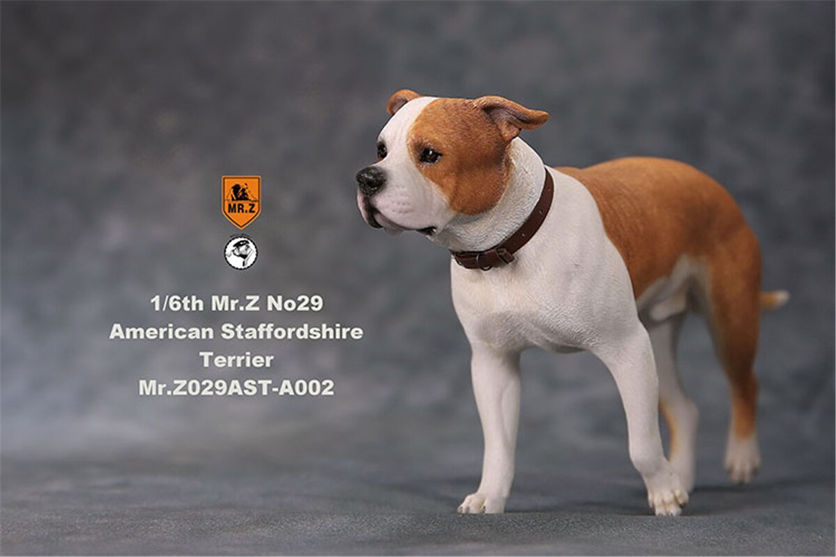 Mr.Z Studio 1:6 American Staffordshire Terrier Dog Pet Healing Figure Canidae Animal Model Toy Collector Desktop Decor Adult: A-002