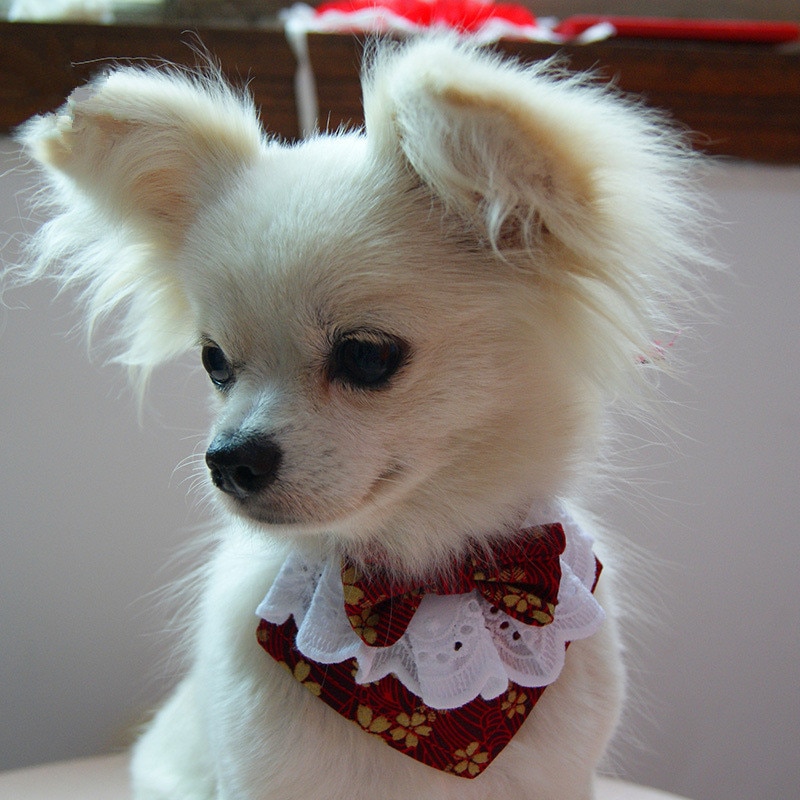 Japansk stil handgjord hund spets rosett haklapp med söt fluga hundhalsduk för valpar medelstora hundar tillbehör till husdjur