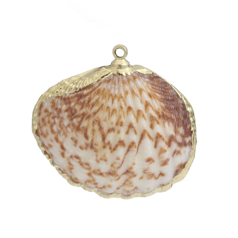 5 PCs Natural Shell Pendants Gold Conch/ Sea Snail Multicolors Charms For DIY Handmade Jewelry Making: 4