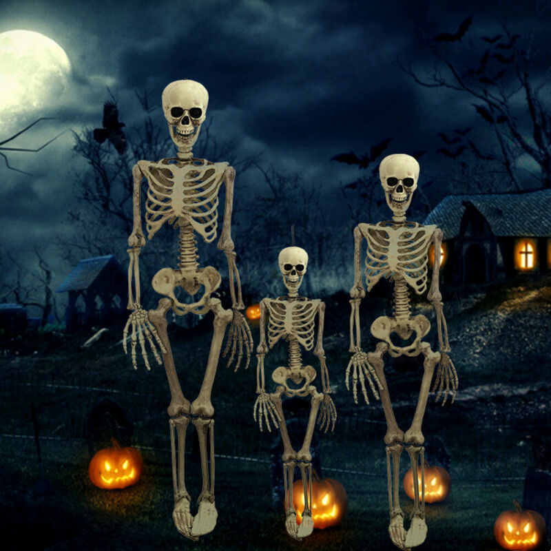 Försäljning halloween poseable livsstil skelett party prop dekor mänsklig anatomi modell