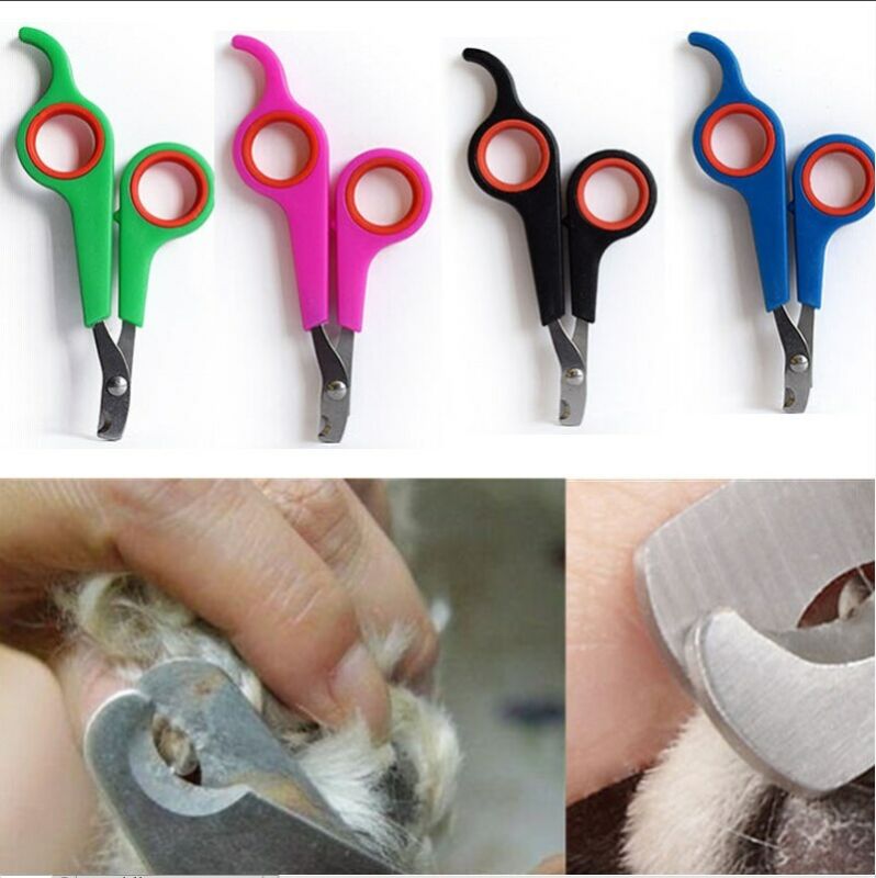 Pet Nail Claw Grooming Schaar Cutter 1 Pc Katten N... – Grandado