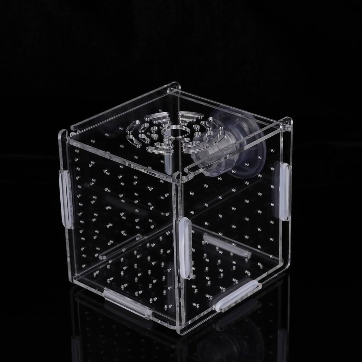 Transparent Fish Tank Breeding Isolation Box Aquarium Incubator Hatching Boxes Multifunctional Acrylic Fish Tank Holder(Suction: Default Title