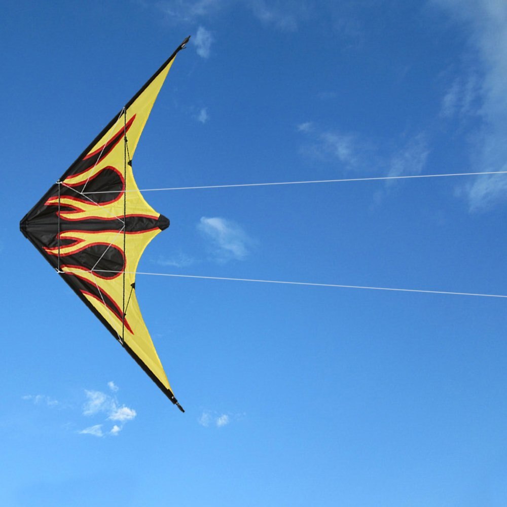 Outdoor Fun Sports 48 Inch Dual Line Stunt Kites / Flame Kite With Handle And Line Good Flying