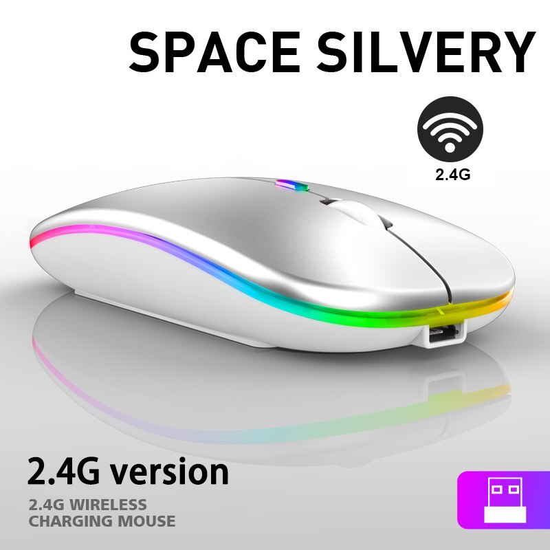 Bluetooth Wireless Mouse for PC Laptop IPad Tablet MacBook with RGB Backlight Ergonomic Silent USB Rechargeable Wireless Mice: 2.4G Sliver