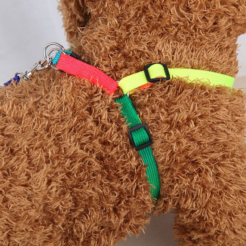 Huisdier Aangelijnd Kit Kleurrijke Borst Terug Trekkabel Mode Regenboog Hond Keten Zachte Puppy Leash