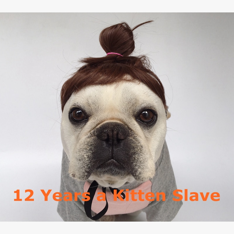 Pet Wig, French Bulldog Funny Wig Dog Wig