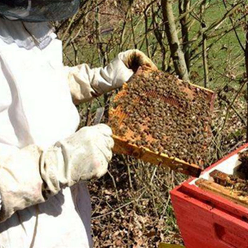 4 In 1 Beekeeping Protective Equipment Set Bee Keeping Suit Hat Gloves Tools Kit 45X45X2cm TB