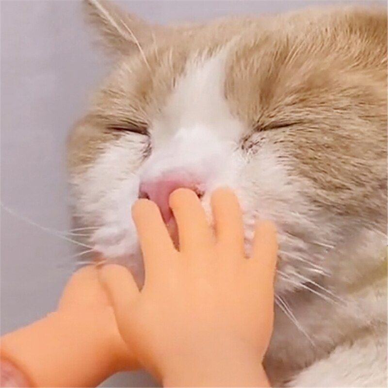 Funny Mini Hands Finger Fidget Toys Small Hand Tease the Cat Pet Toy 54DF