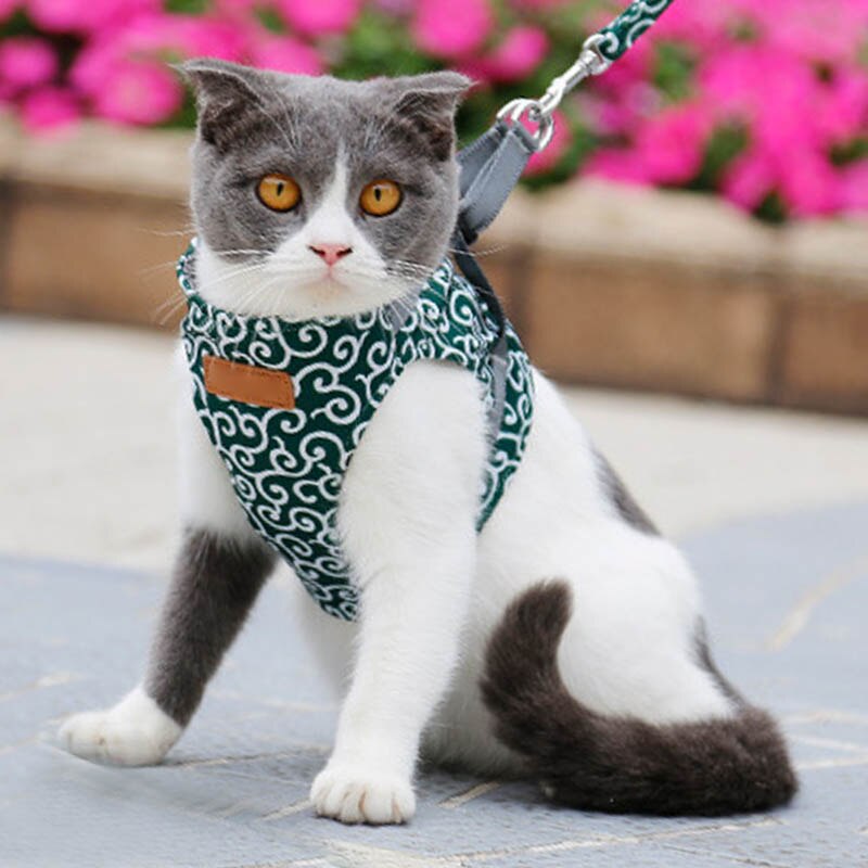 Kattenvest, harnas en wandelriem, borstband, kattenkledingset, dierenbenodigdheden , 88 januari