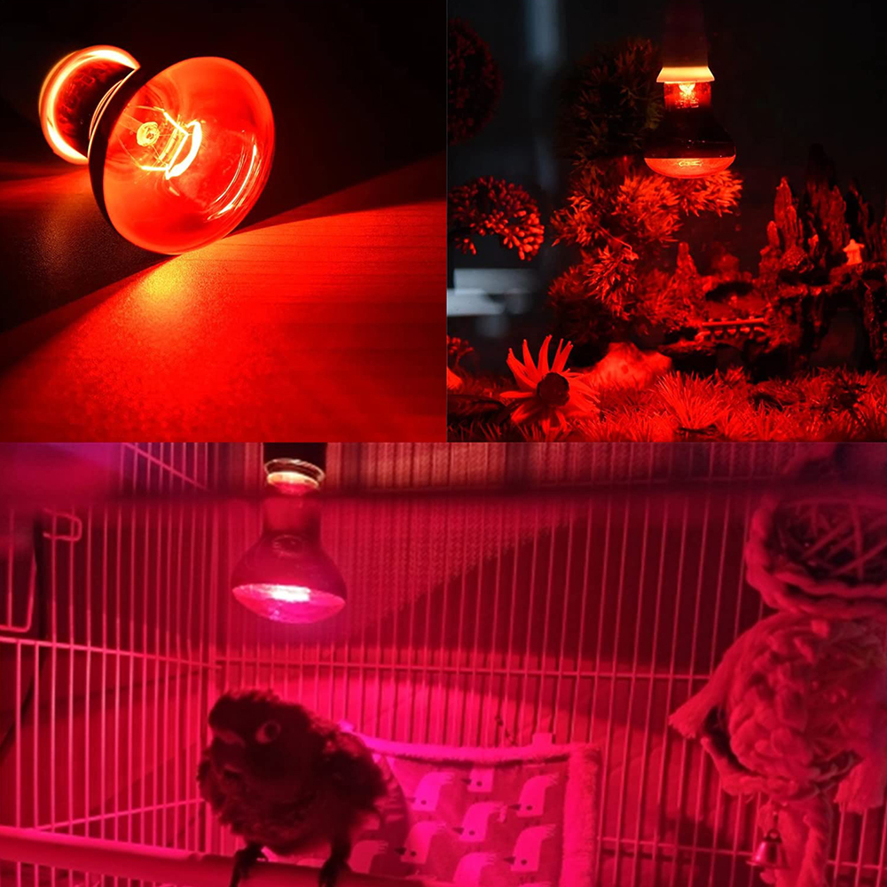 Lampe chauffante rouge 220-240V, 25W 50W 75W 100W, ampoule d'isolation infrarouge pour Reptiles amphibiens, serpent, lézards, bétail