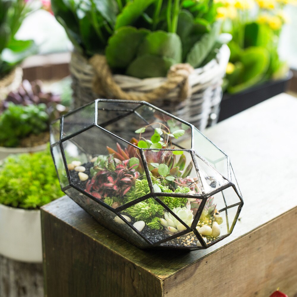 De cristal moderno de pote de flor grande Irregular poliédrico terrario geométrico de cristal linterna suculentas maceta para plantas 11 pulgadas de altura