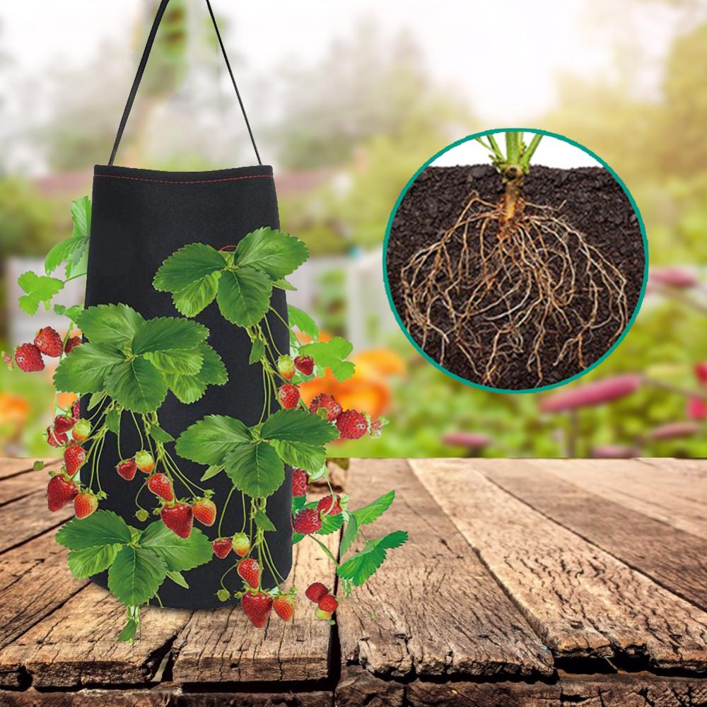 Morango plantio crescente saco diy pe tecidos recipiente sacos crescer plantador bolsa raiz bonsai planta pote jardim suprimentos