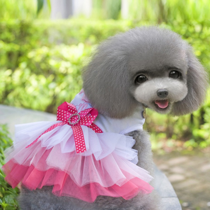 Sweet Dog Dresses For Small Dogs Lace Tutu Dress Puppy Dress Trendy Bowknot Dog Princess Dress Cute Pet Supplies