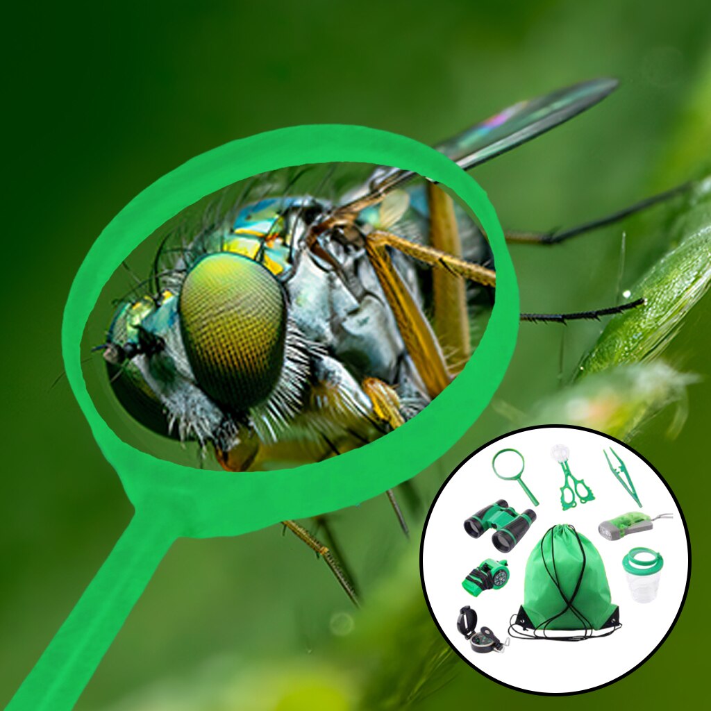 Bug Catcher Kit Telescope Insect Catch Kit Outdoor Explorer Kit for Jungle Adventures: Green