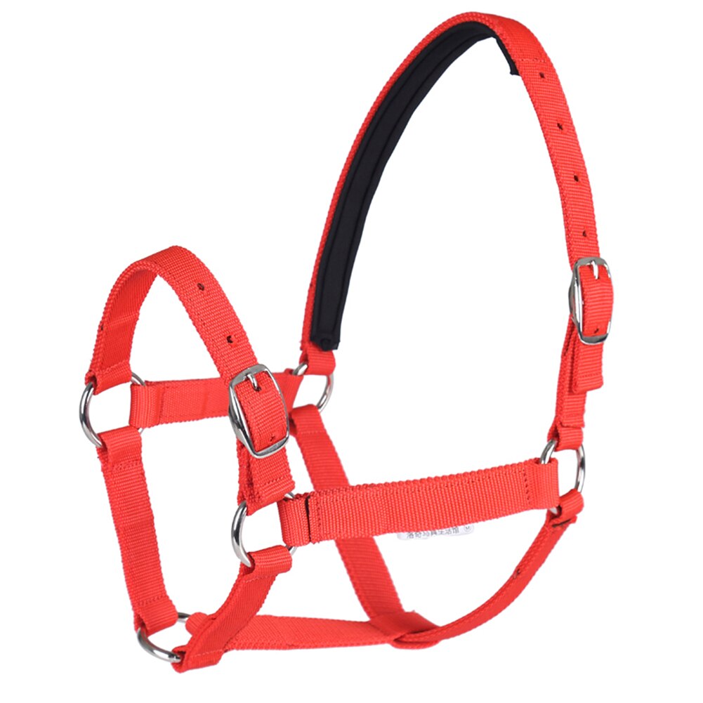 Horse Head Collar Adjustable Riding Safety Halter Belts Equestrian Equipment Riding Racing Equipment Training Rope: M-Red