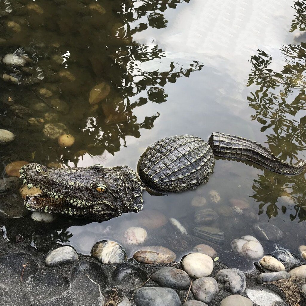 Drijvende Krokodil Water Decoy Vijver Tuin Decoratie Voor Tuin Controle Krokodil Hoofd Spoof Speelgoed Kinderen Volwassenen Jardin Garten