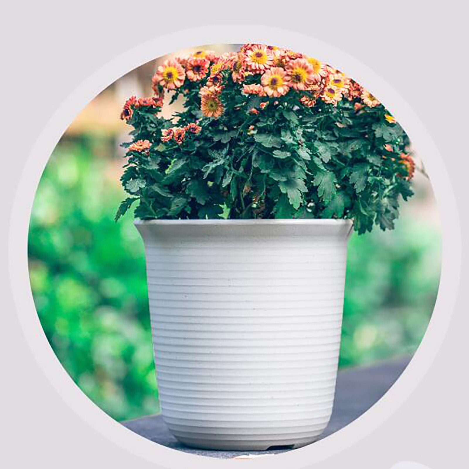 25 # Draagbare Bloempot Balkon Tuin Bloempot Muur Bloem Trog Thuis Pot Plant Houder Huis Tuin Balkon Decoratie