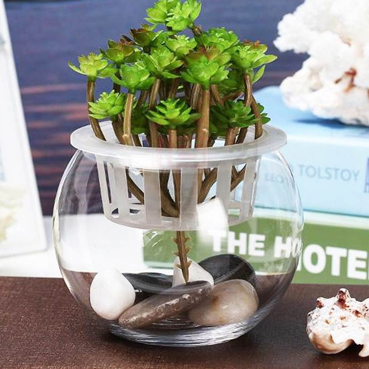 Aquarium en verre rond de 20cm, Globe de poisson , Terrarium en verre pour maison hôtel taille du poisson