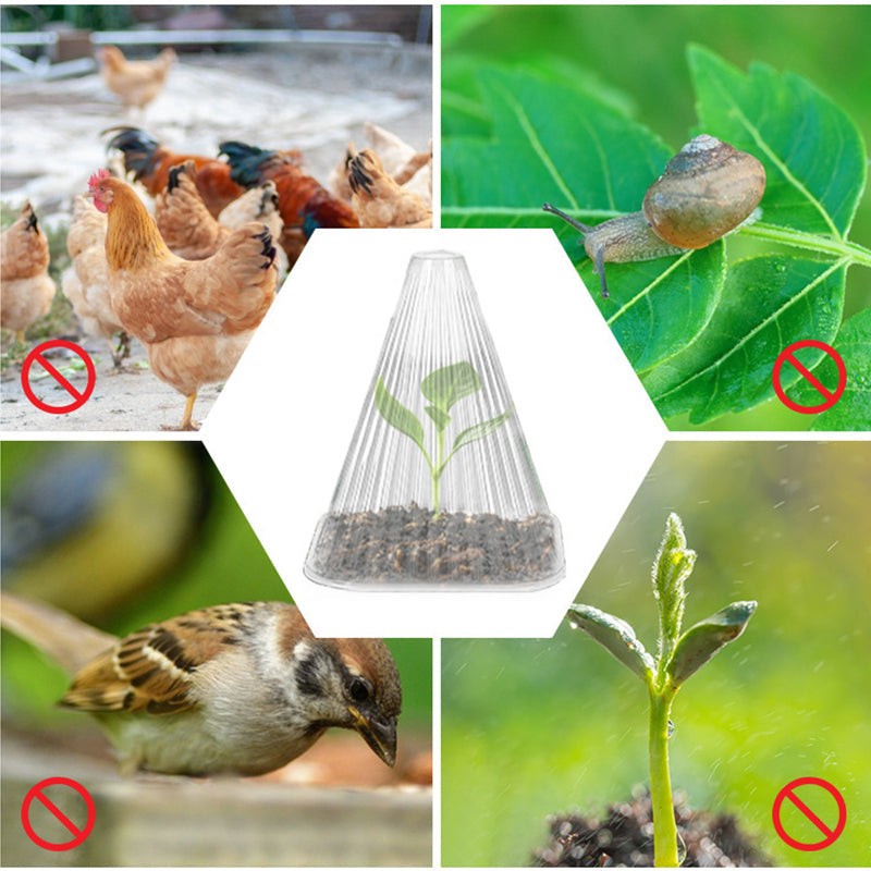 Cloches pour plantes de jardin, 20 pièces, couverture contre les escargots/Influences météorologiques pour les soins et la Protection des plantes, couverture de Protection efficace des plantes