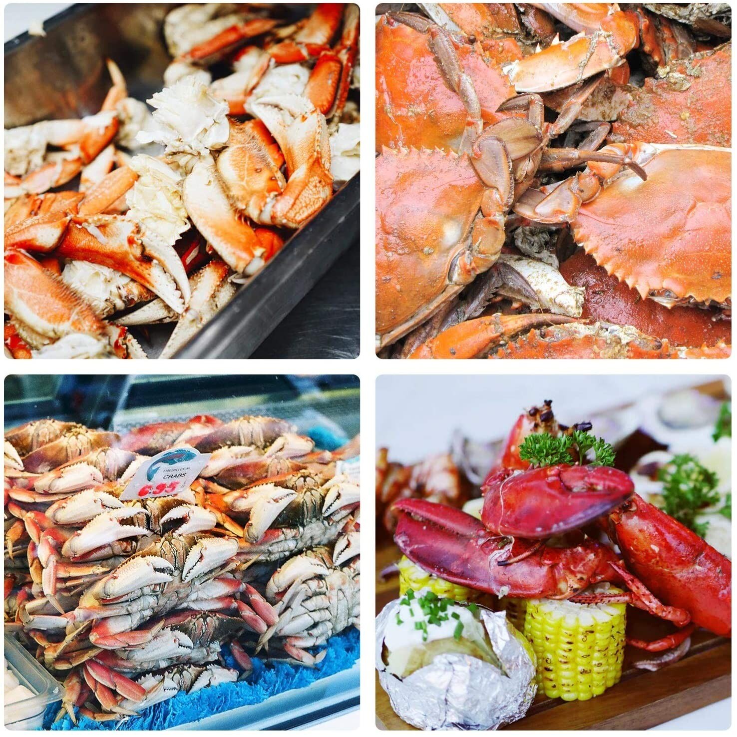 12 pçs ferramentas de frutos do mar crackers caranguejo porca cracker garfos conjunto abridor casca de marisco camarão ferramenta lagosta braçadeira alicate clipe picareta conjunto