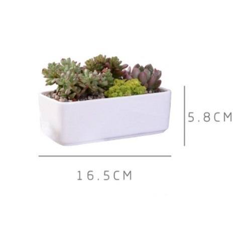 Macetas carnosas de cerámica minimalistas, rectangulares, blancas, para plantas suculentas, de porcelana, para escritorio, decoración del hogar Zakka: Blanco