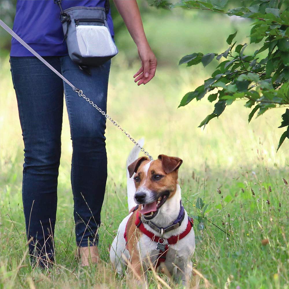Hund behandler pose taske, hund gå taske, opbevaring af kæledyr, multi formål kæledyr træning taske med sammenklappelig silikone hund vand skål