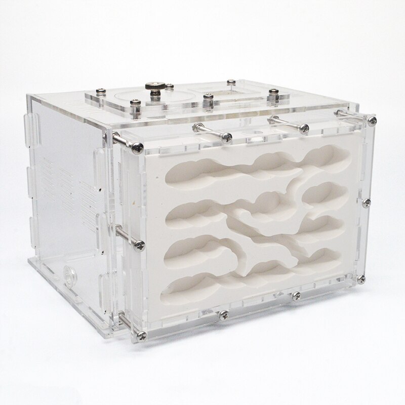 DIY Gypsum Ant Farm Plaster Ant Nest with Feeding Area Moisturize Ecological Ant House Workshop for Pet Anthill