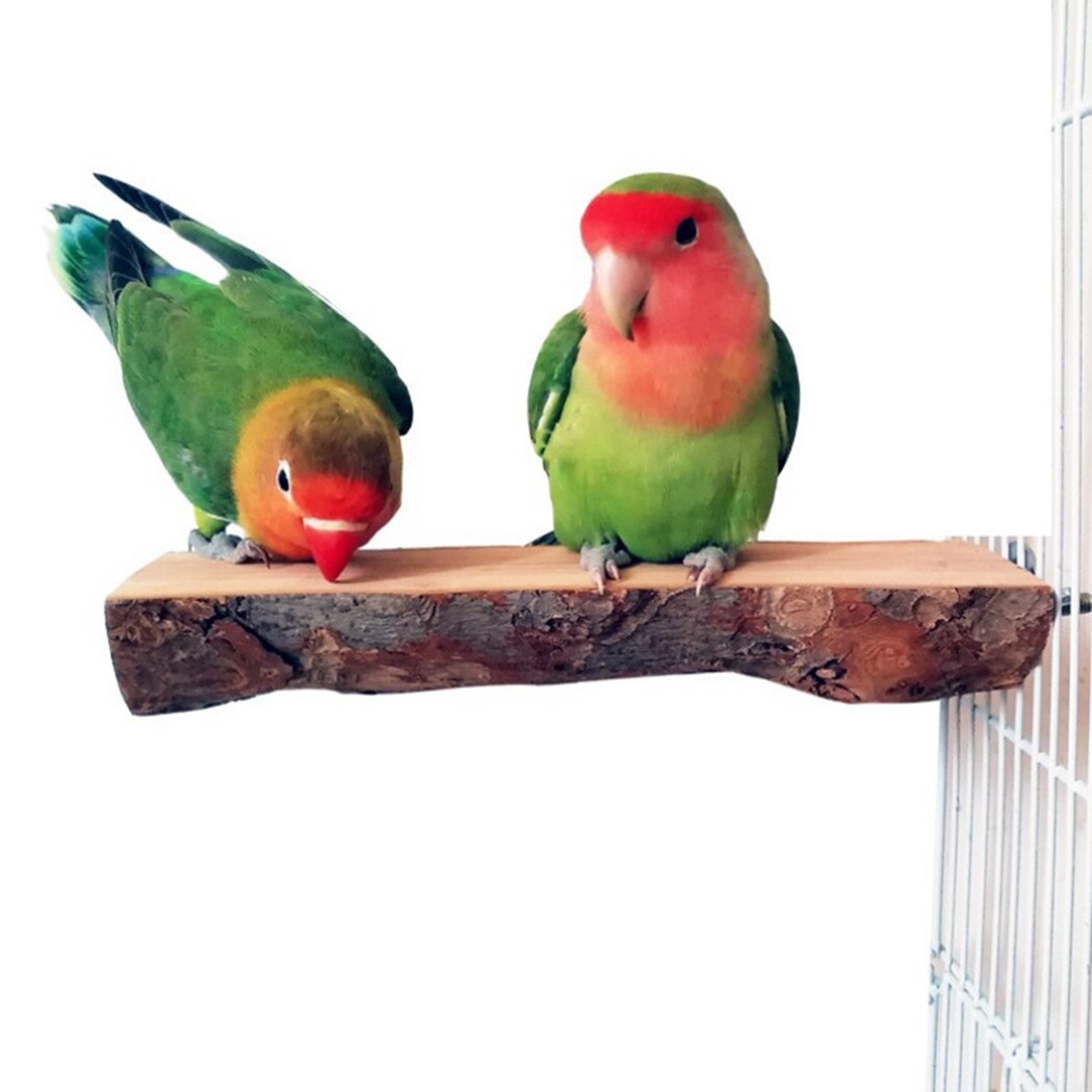 Pet Parrot Bird Standing Stick Wild Grape Wood Pole Bird Cockatiel Parakeet Perches Bite Claw Grinding Toy Bird Cage Accessories