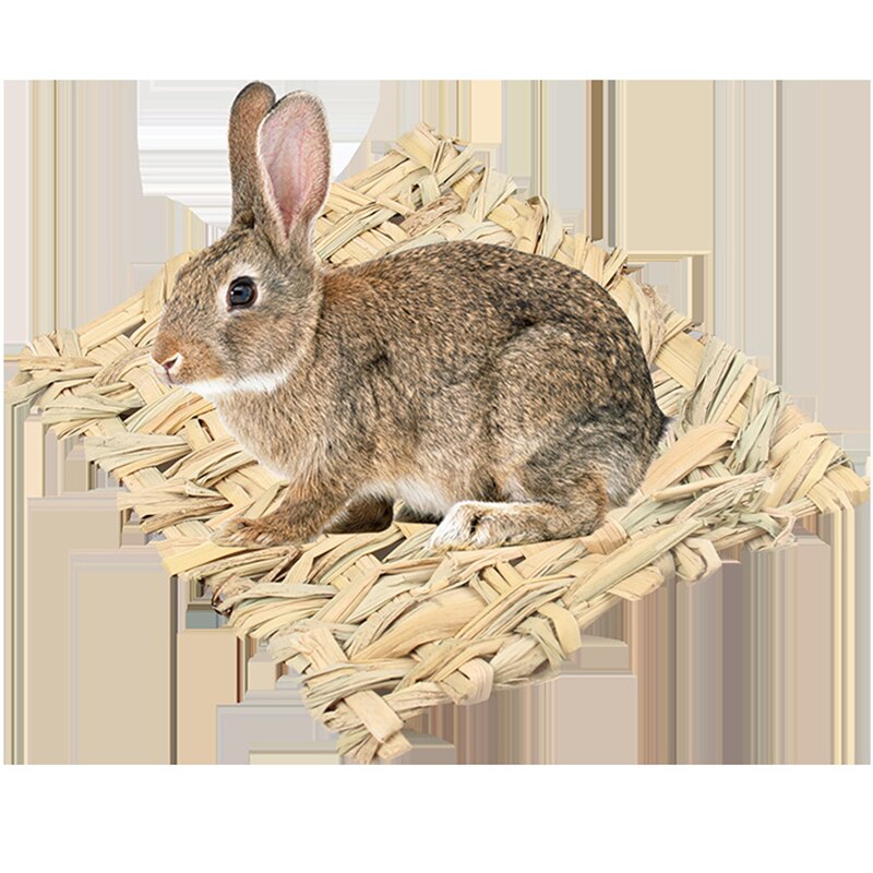 Hamster Grass Mat Pet Rabbit Chew Mat Toy Small Animal Rat Guinea Pig Interesting Pet Toys Woven Bed Mat for Small Pets