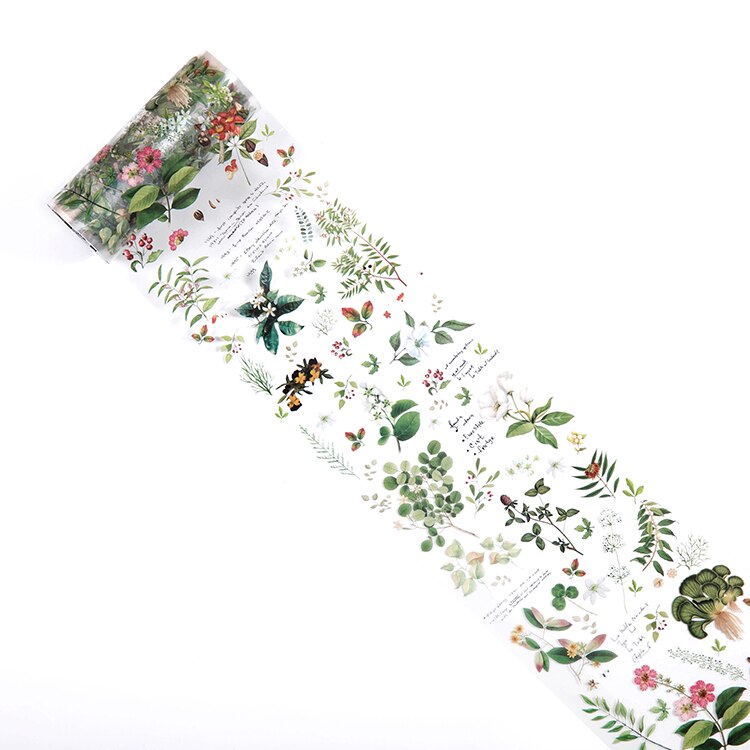 10cm*3m, botanical illustration diary paper tape PET transparent tape DIY scrapbook label label masking tape: A