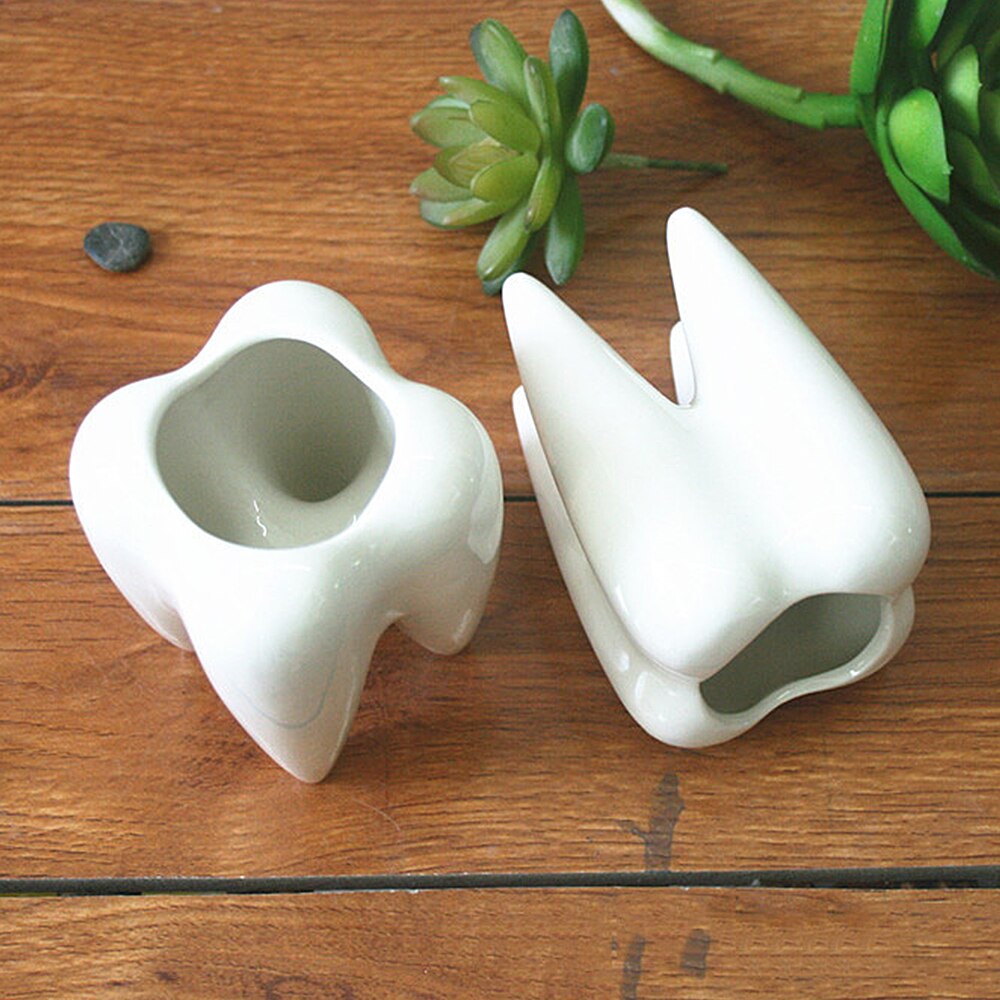 White Ceramic Fleshy Small Flowerpot Tooth Shape Table Plant Pot Home Decoration Tooth-Shaped Desktop Ceramic Flower Pot