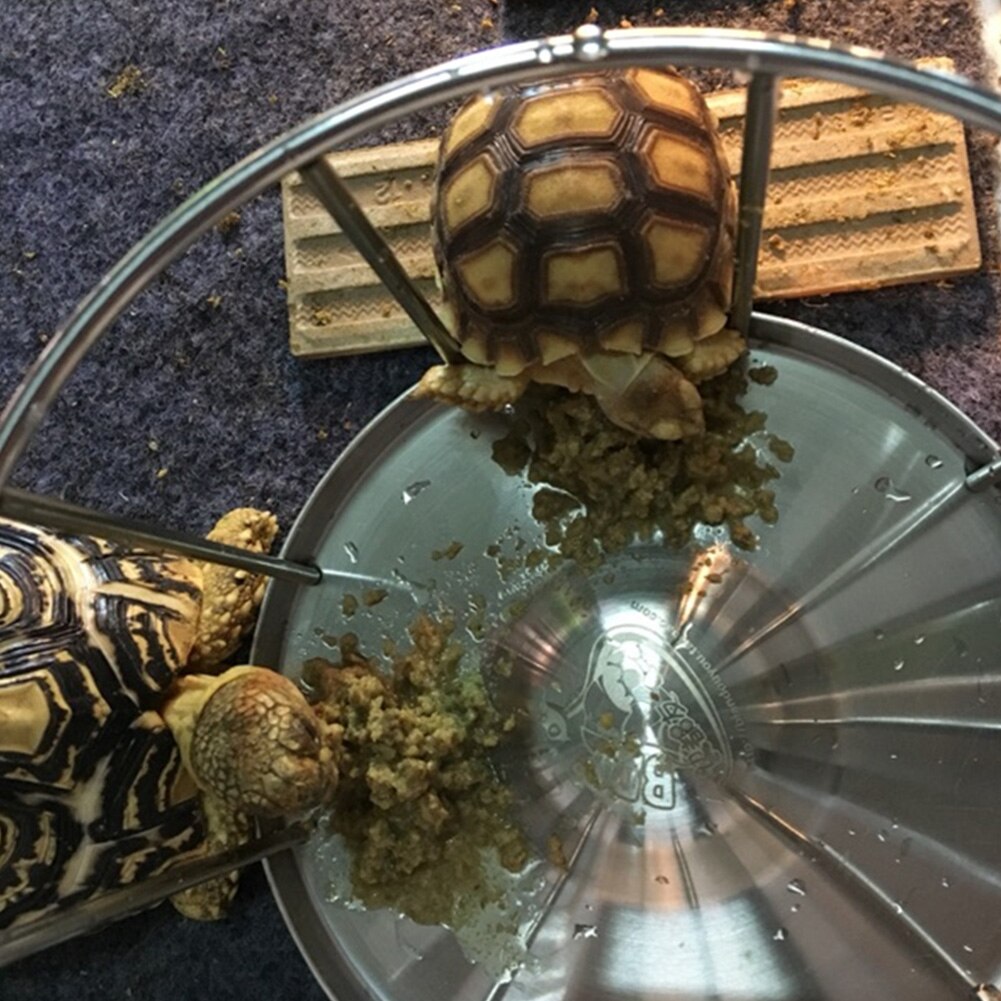 Outdoor Tortoise Feeding Bowl Tray Food Dish Easy Clean Pet Supplies Basin Home Turtle Stainless Steel Round Dispenser Water