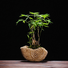 Retro Steen Ambachten Creatieve Conch Bloempot Vlezige Ingemaakte Aquarium Ornament Home Decoratie Mini Desktop Bonsai Plant