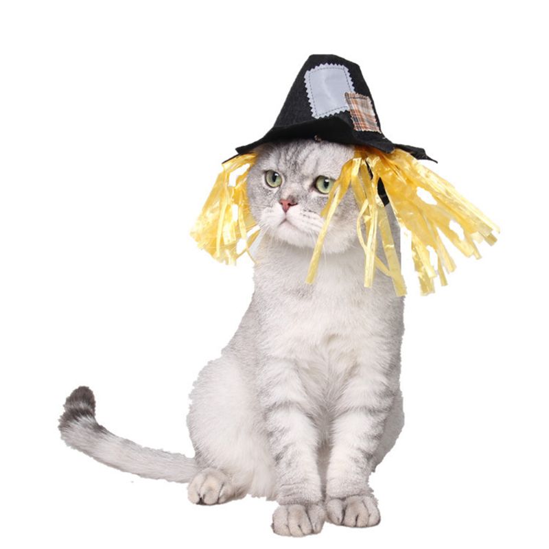 Huisdier Kat Hond Halloween Vogelverschrikker Hoed Dress Up Cosplay Kostuum Outfit Hoed