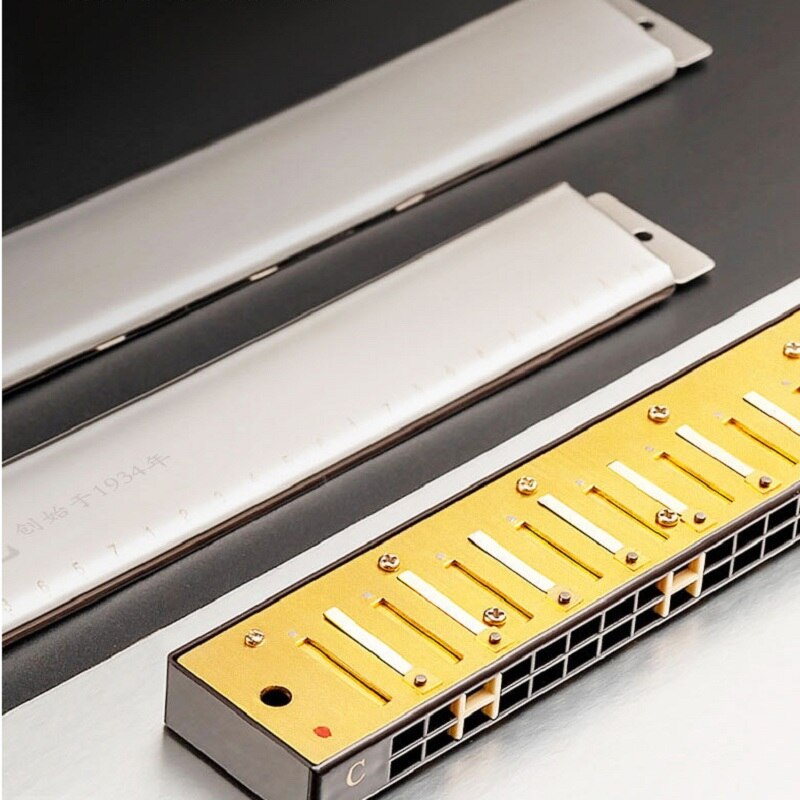 Guoguang 24 otwory harmonijka tremolo C kluczowa harmonijka polifoniczna harmonijka ustna z futerałem