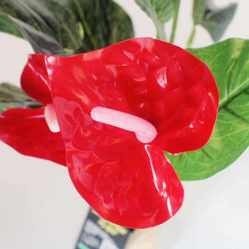 Reptile box rainforest box landscape decoration simulation plant aquarium plant