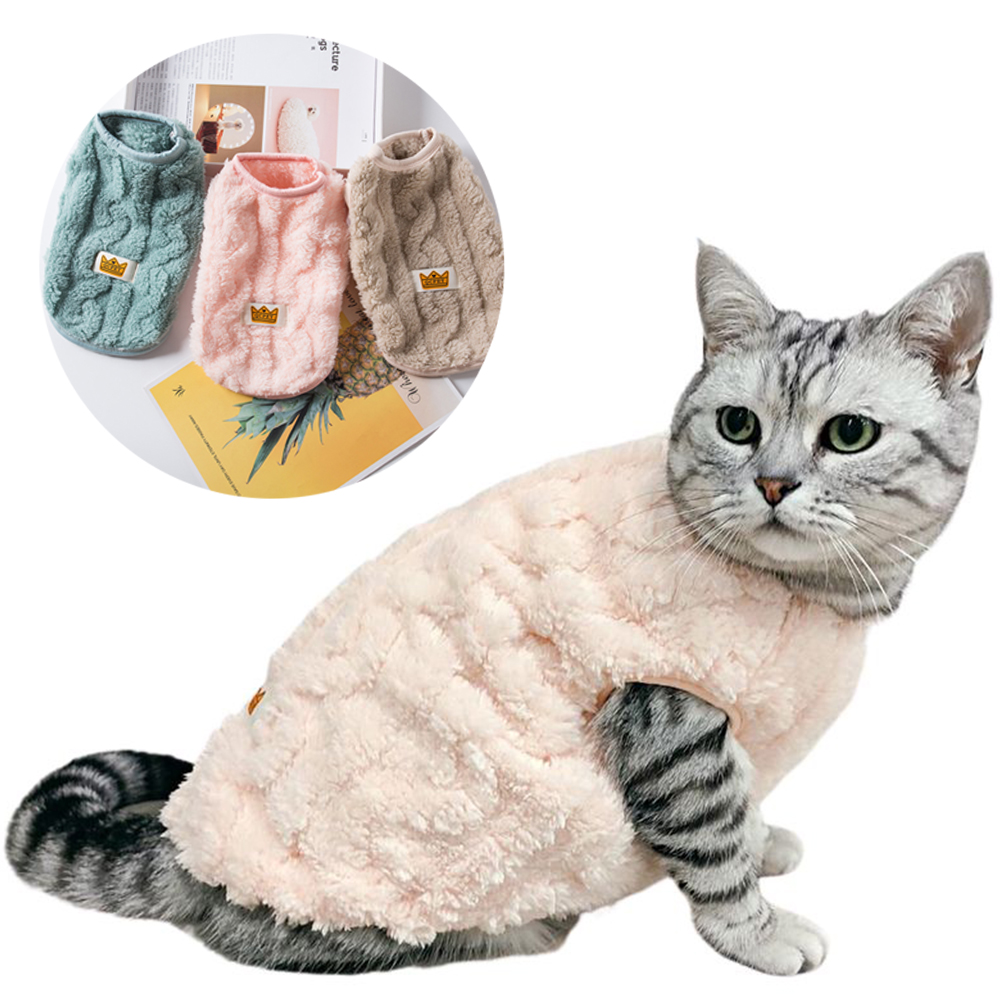 Chaton Manteau Pour Chat Sphynx Vêtements Doux Et Confortables