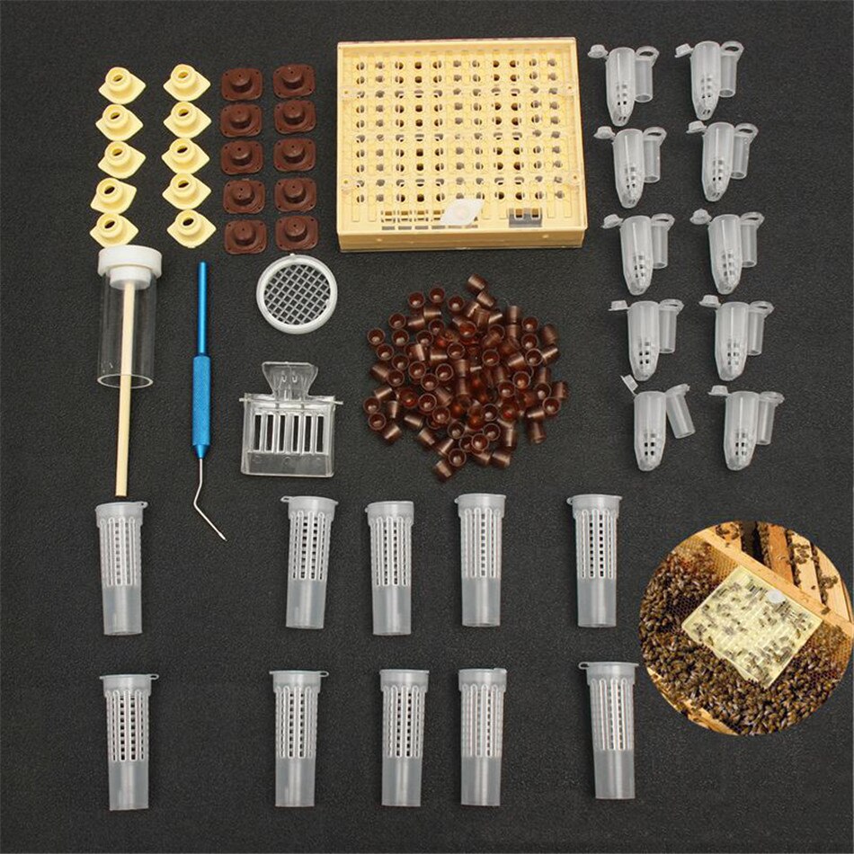 155pcs plastic Queen Rearing System Cultivating Box Cell Cups Bee Catcher Cage Beekeeping Tool Equipment: Default Title