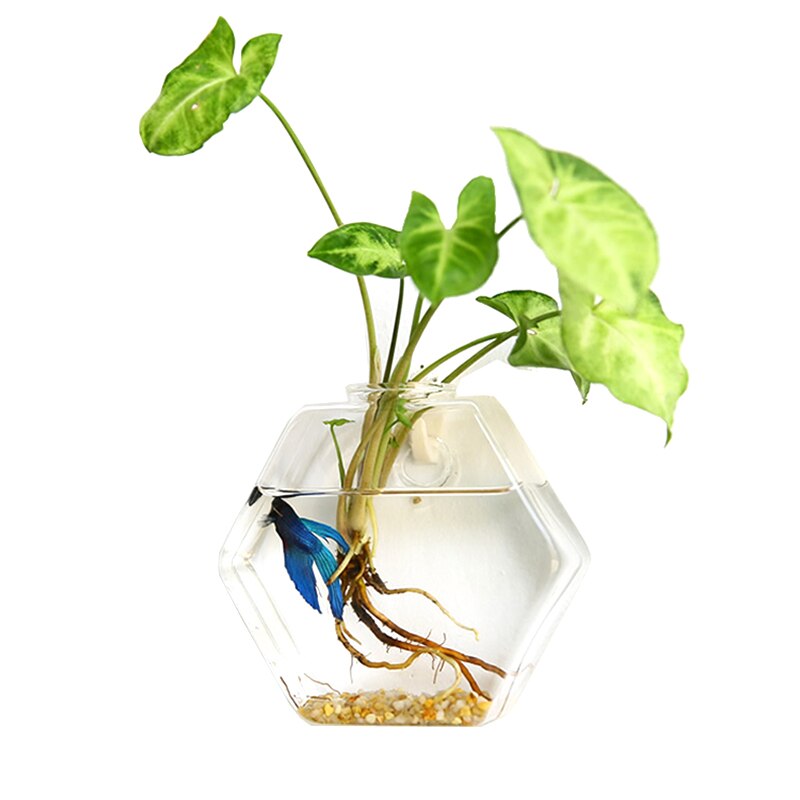 Wandhangende vissenkom glazen wandbloempot aquariumdecoratie plantenbak msu 88