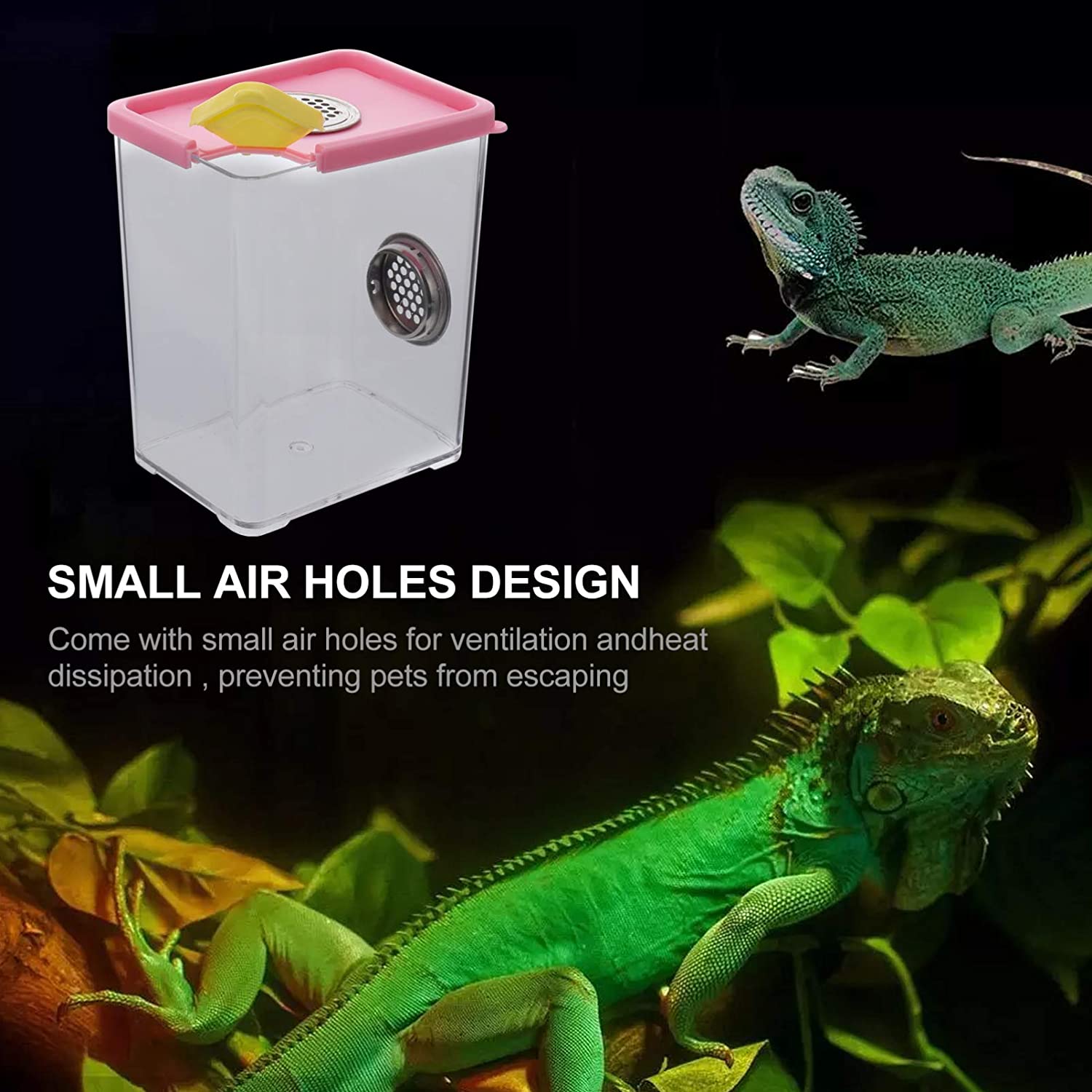 Breeding Box Plastic Reptile Terrarium Acrylic Clear Feeding Container Climbing Pet Box for Invertebrates Insect