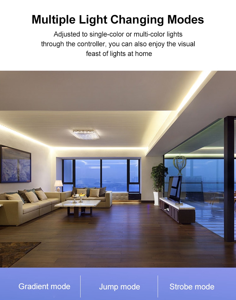 Wifi Intelligent Controller Colorful 24 Key Dual Load RGB Light With Controller ALexa Voice Smart Home Automation Module