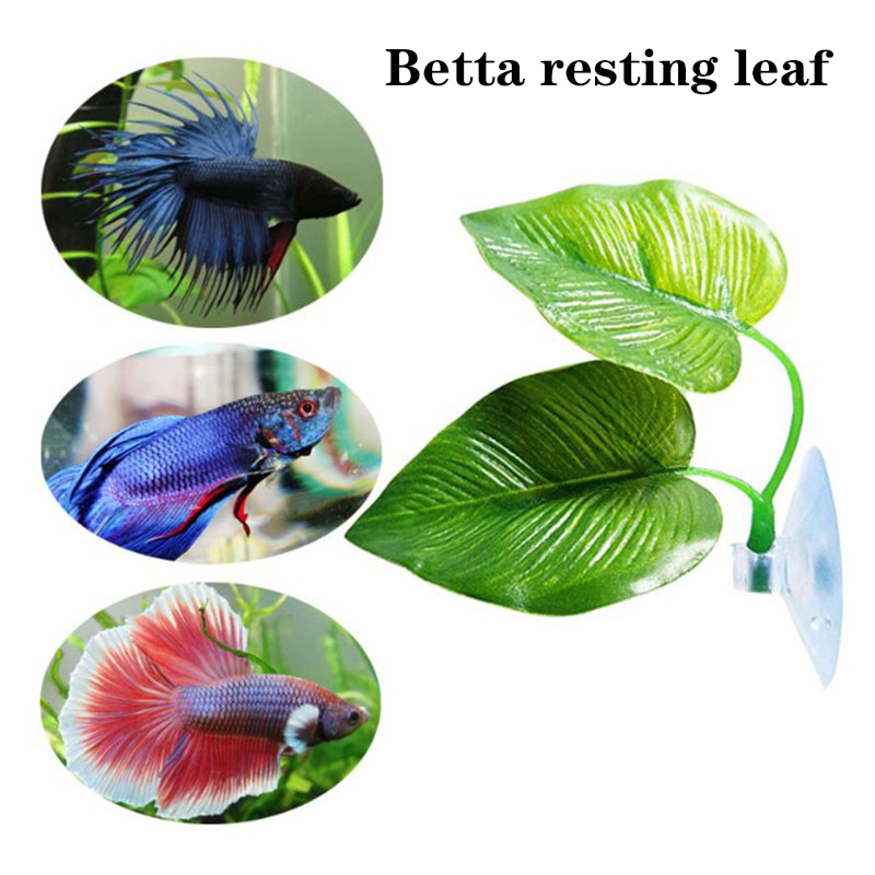 Betta vissen rusten in het aquarium, bladplanten decoratie, paaiplaats, sierplant, betta vissen spelen, ontspannen, kunstmatige schuilplaats, blad hangmat