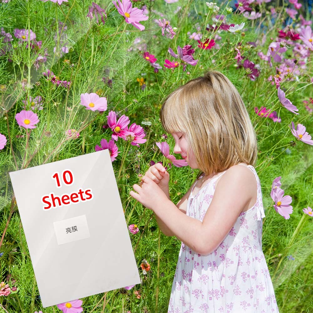10 Sheets Terug Hart Koud Lamineren Film A4 210*297Mm Plakband Lamineren Op Papier Plastic Diy Pakket kleur Card Photo: Glossy film