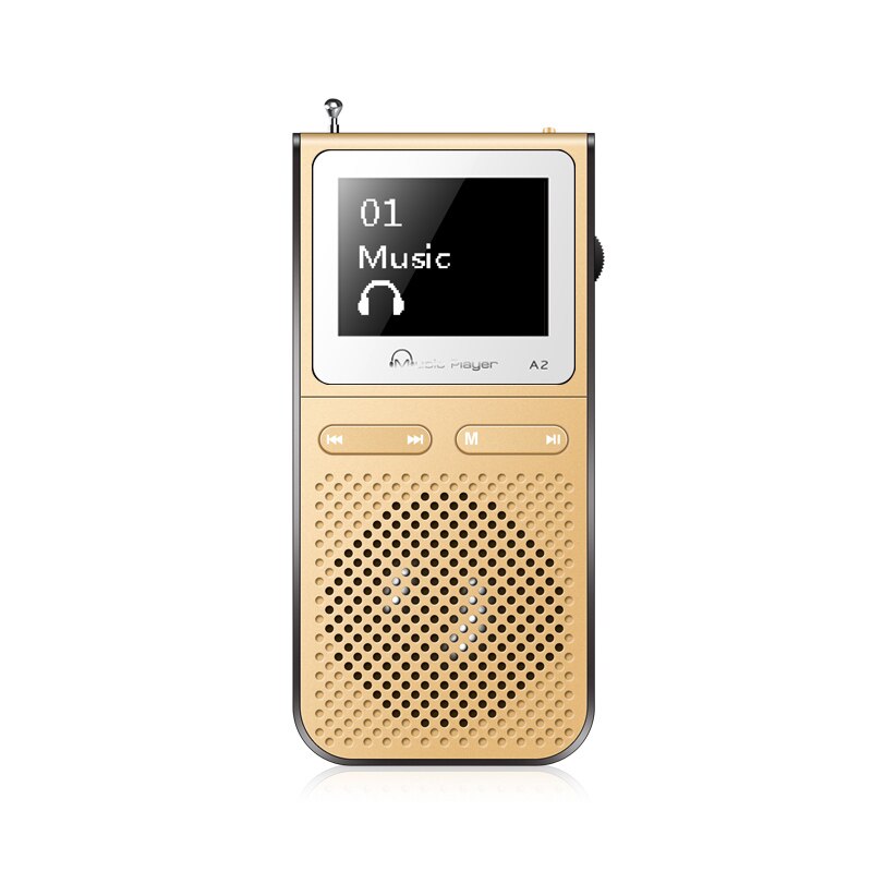 IQQ Hifi Mp3 Spieler Mit Lound Sprechen und 8GB Können Spielen 100 Stunden Gebaut in FM Radio Unterstützung Erweitern bis zu 128GB Tragbare Spieler: Gold / 40GB