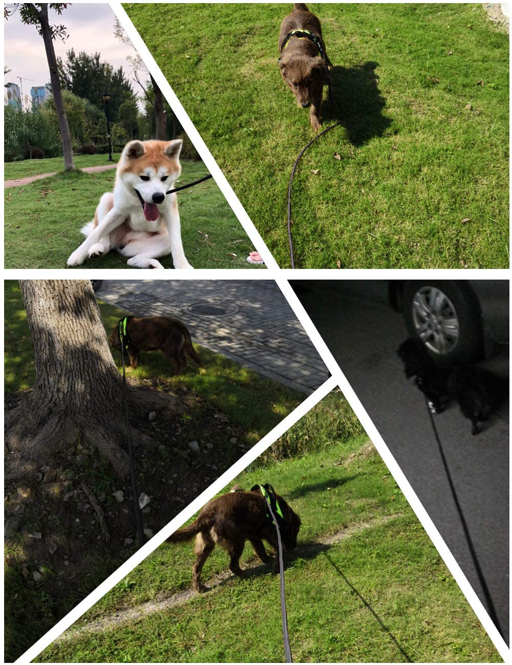 Training Hondenlijn Nylon Duurzaam Lange Tracking Ronde Touw Harnas Hond Aangelijnd Buitenshuis Reizen Voor Kleine Medium Grote Honden