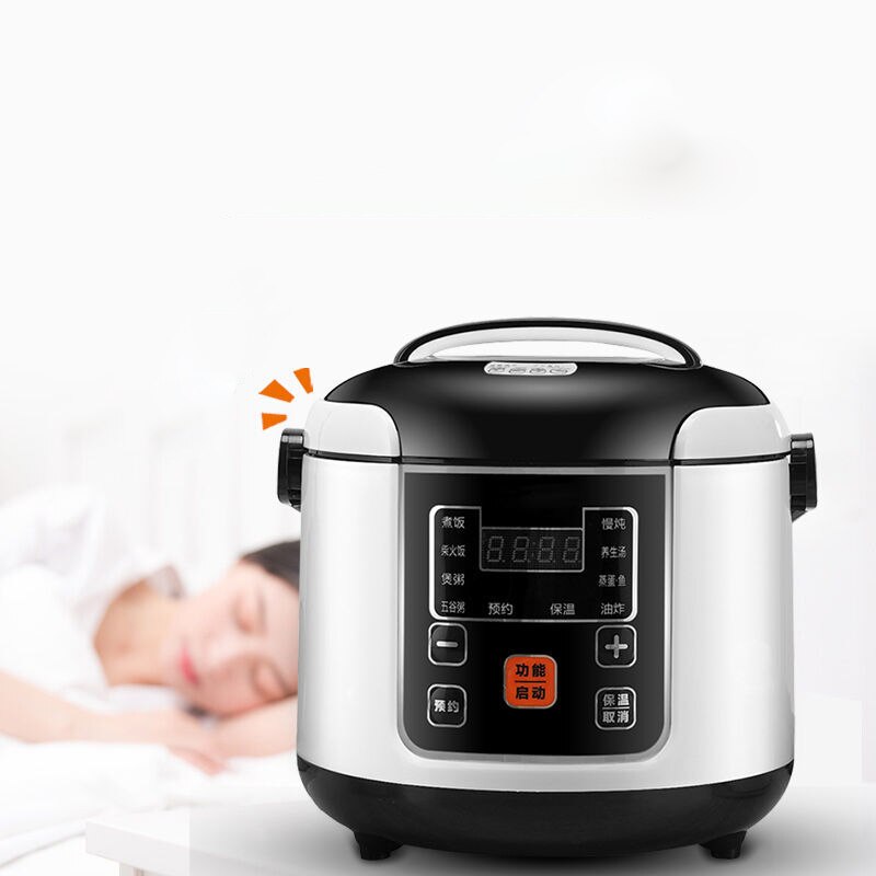 12V 24V 220V Portable Electric Rice Cooker 2L Timing Reservation Food Heating Cooking Steamer Soup Stew Pot Steamer Cooker