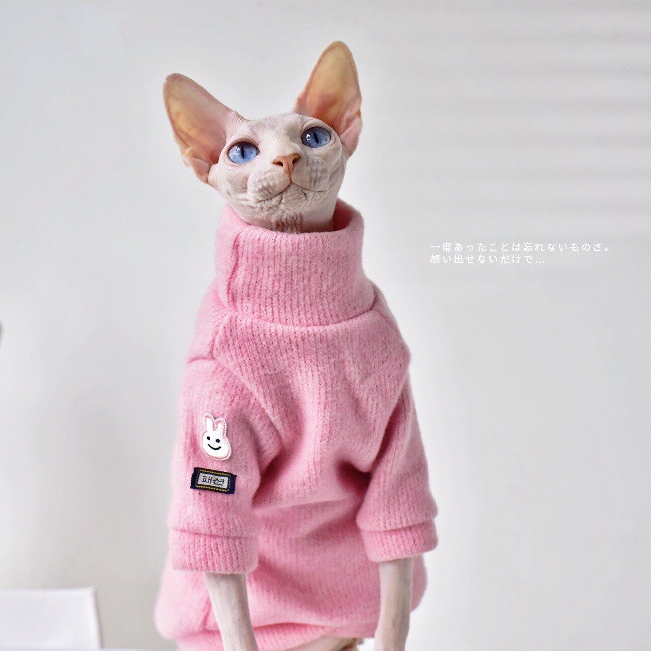 Ins Winter Kleding Voor Huisdieren Zoete Roze Sphynx Kat Kleding Warm Kostuum Voor Een Hond Xs Tiny Animal Shirt