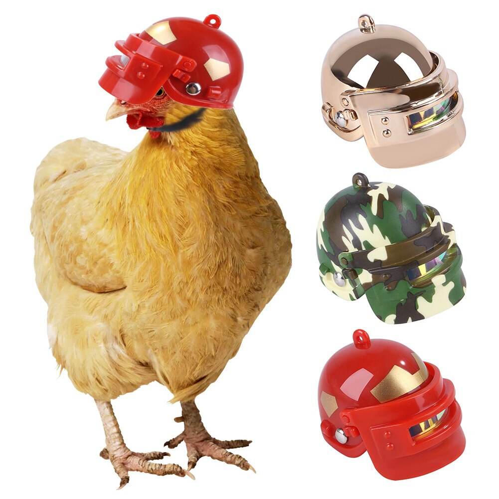 Pet Chicken Bird Helmet Smash Proof Poultry PP Safety Head Protection Cap Chicken Hen Hard Hat Headgear Outdoor Foraging