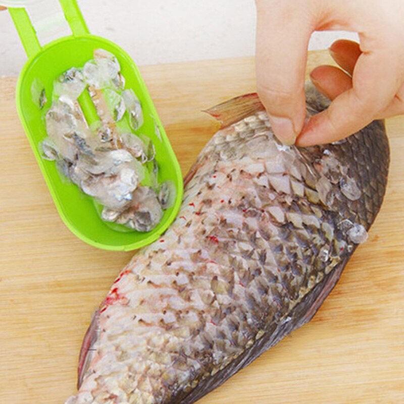Scraping Scale Kill Fish With Knife Machine Kitchen Accessories Multi Purpose Gadgets Home Cooking Tools Scrape Fish Gadget