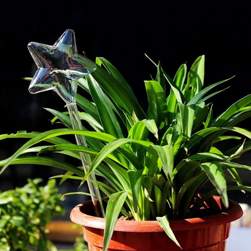 Cristal de agua para plantas autoriego de agua para plantas er, planta de vidrio portátil, flores, alimentador de agua, decoración de autoriego, latas de agua